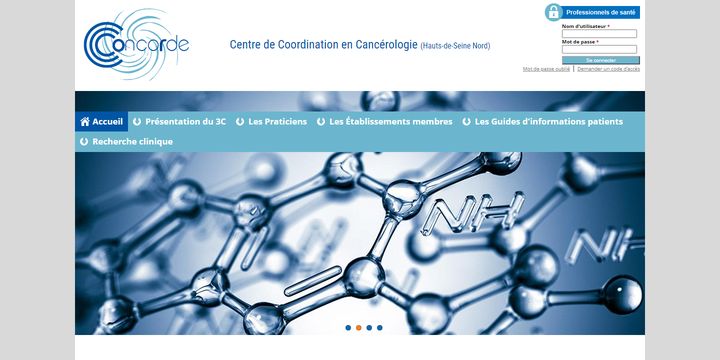 Page d’accueil du site Centre de Coordination en Cancérologie Concorde